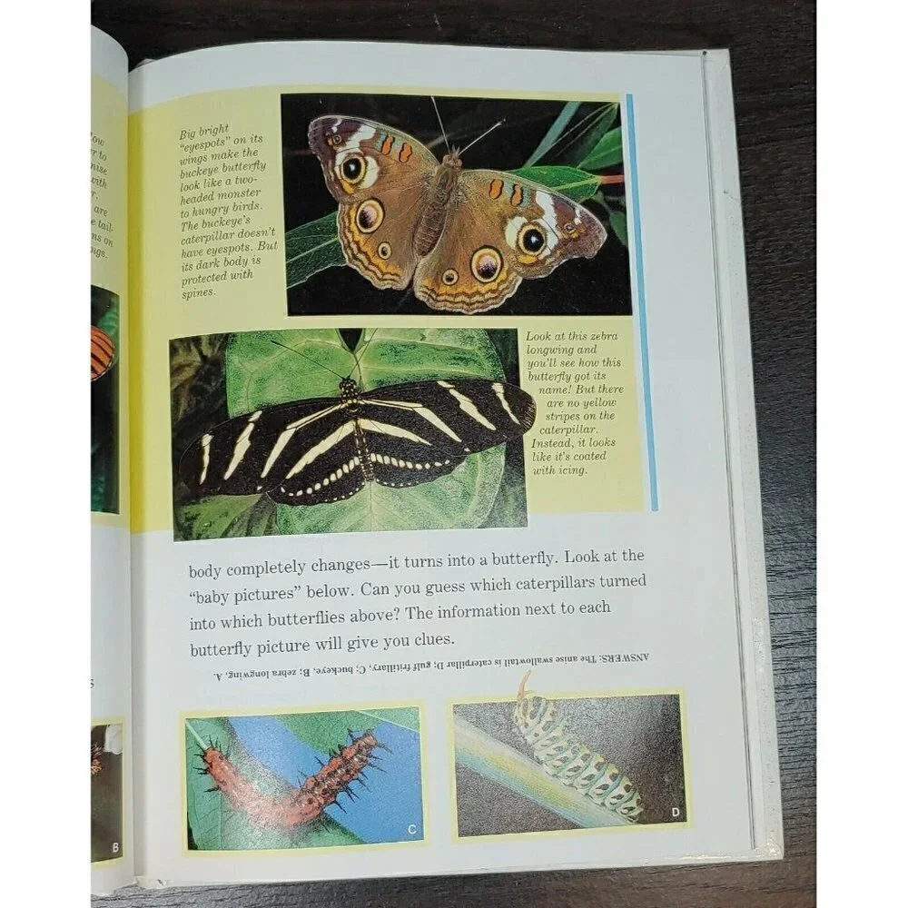 Disney's Year Book 1993 Picture Learning Comic Young Adults Hardcover Book